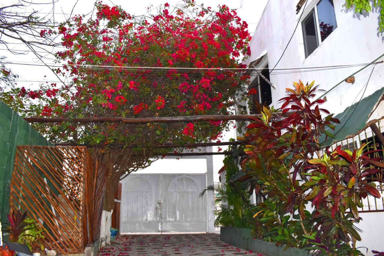 Lobo Inn טולום מראה חיצוני תמונה