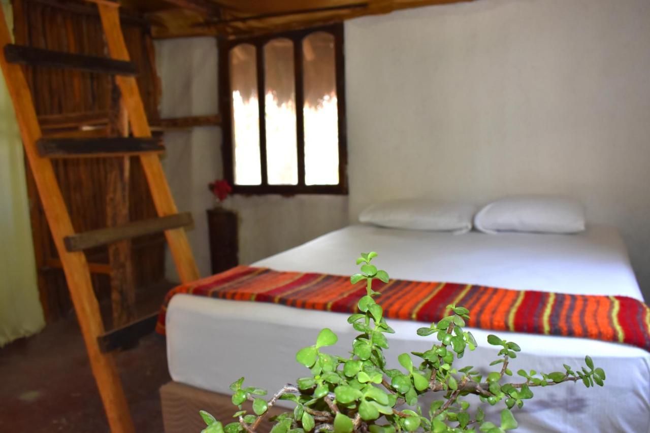 Lobo Inn טולום מראה חיצוני תמונה